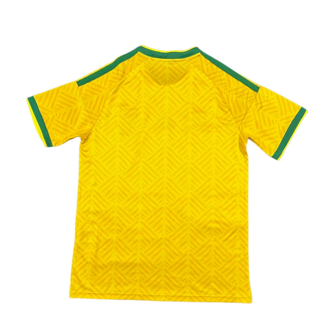 Alternative view of South Africa Home Jersey - World Cup 2026