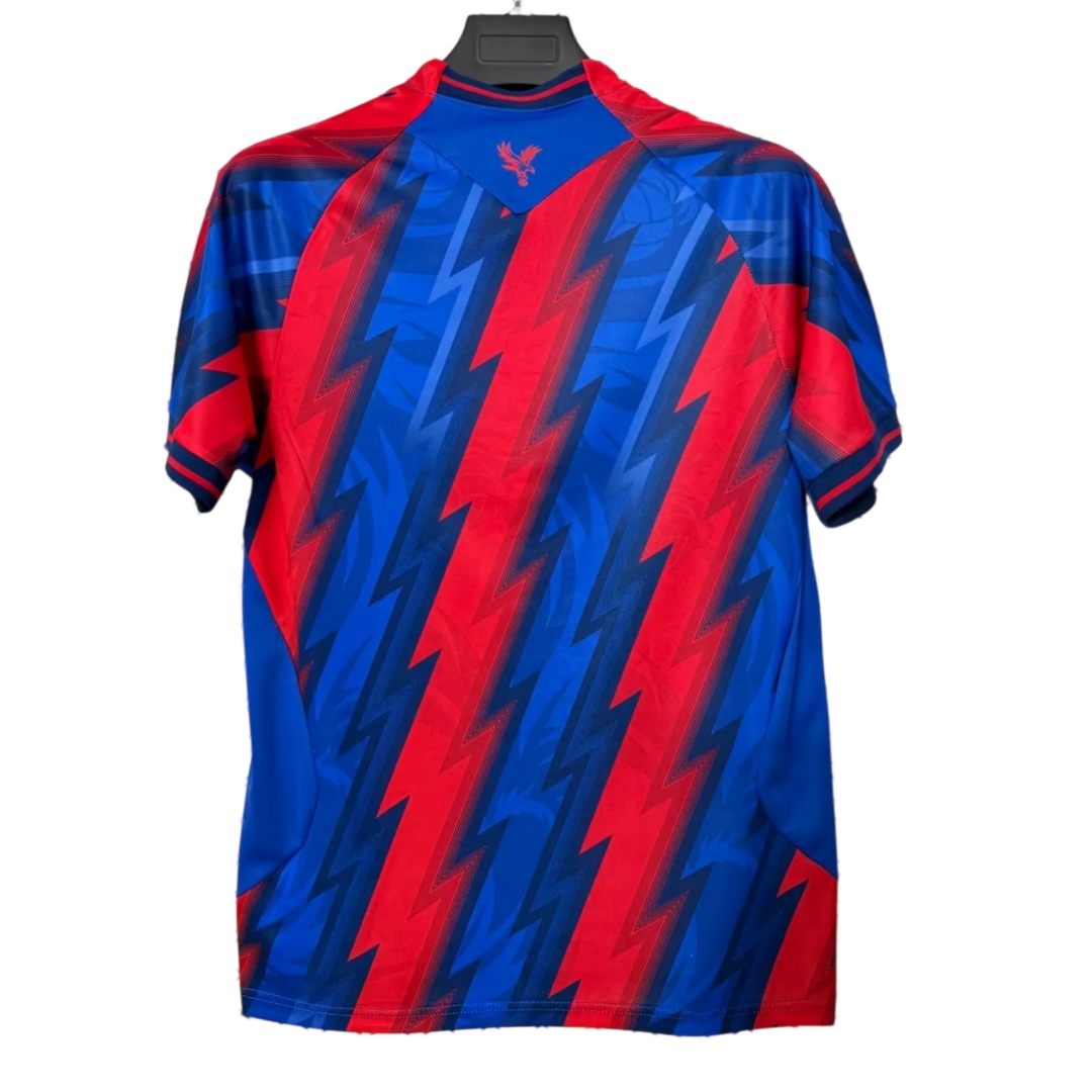 Alternative view of Crystal Palace Third Jersey 2627